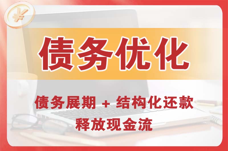 献县债务优化