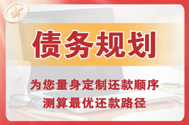 献县债务规划